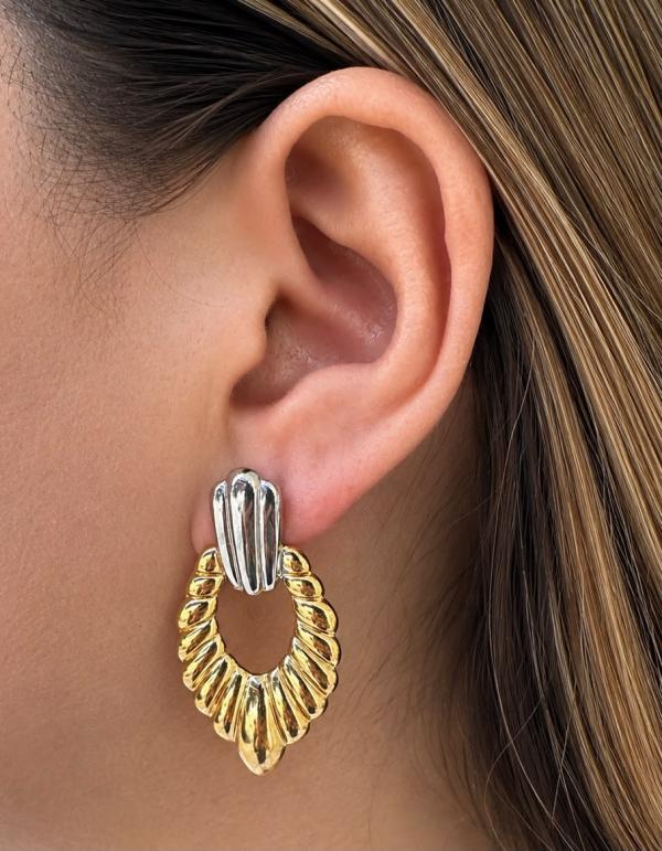 Arete Bicolor