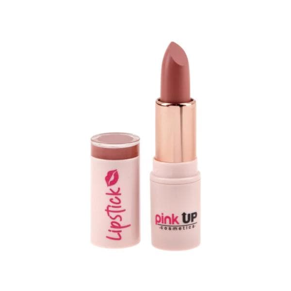 Labial en Barra Matte