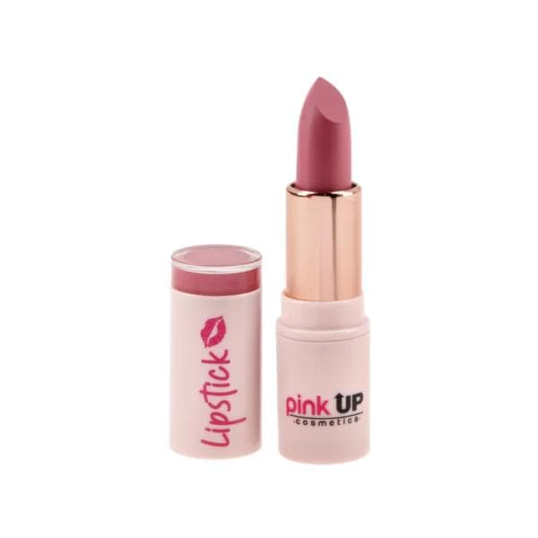 Labial en Barra Matte