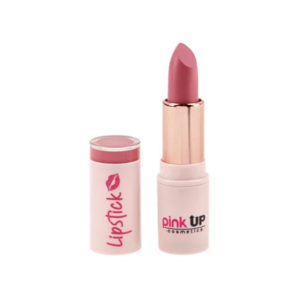Labial en Barra Matte