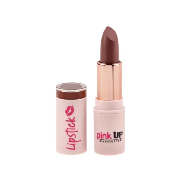 Labial en Barra Matte