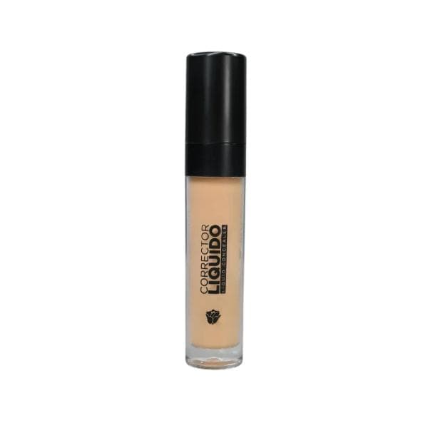 Corrector Liquido