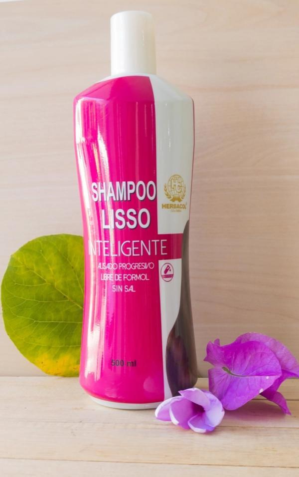 Shampoo lisso inteligente botella 500ml