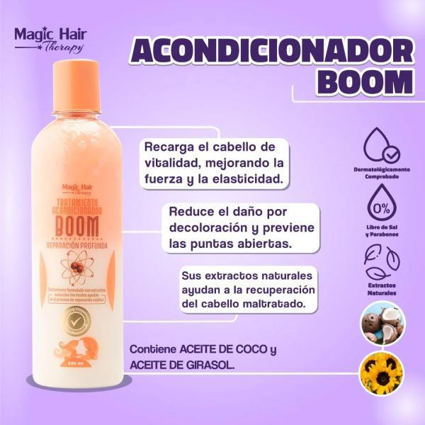 Acondicionador Reparación Boom