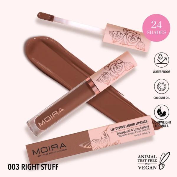 Labial Liquido Divine