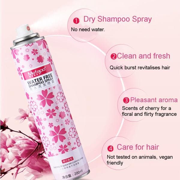 Shampoo En Seco