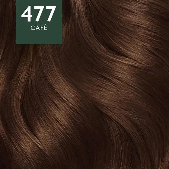 Shampoo Canas 3 en 1