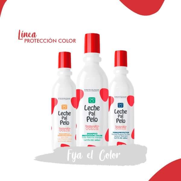 Shampoo Proteccion Color