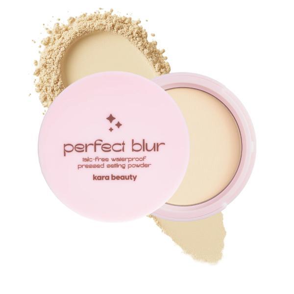Polvo Compacto Perfect Blur WP
